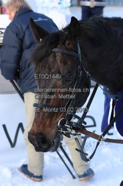 ET0Q1449 prot